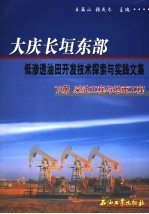 大庆长垣东部低渗透油田开发技术探索与实践文集  下  采油工程与地面工程