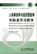 人体解剖学与组织胚胎学实验及学习指导