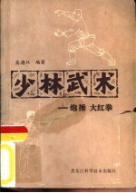 少林武术  炮捶、大红拳