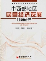 中西部地区民营经济发展问题研究