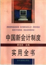 中国新会计制度实用全书