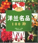 洋兰名品100种  国外名兰