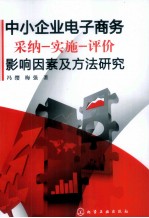 中小企业电子商务采纳-实施-评价影响因素及方法研究