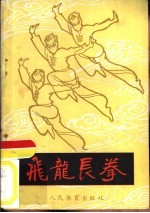 飞龙长拳