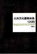 公共文化服务体系120问