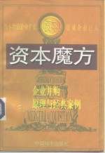 资本魔方  企业并购原理与经典案例