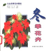 冬季花卉