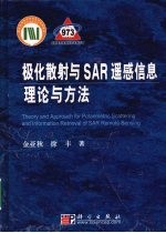 极化散射与SAR信息理论和方法