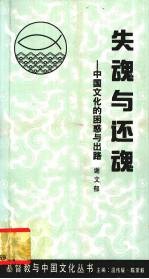 失魂与还魂  中国文化的困惑与出路