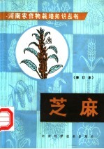 芝麻  修订版