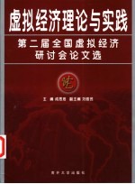 虚拟经济理论与实践  第二届全国虚拟经济研讨会论文选