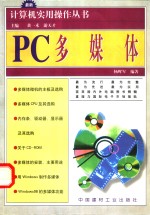 PC多媒体