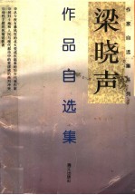 梁晓声作品自选集