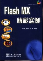 Flash MX精彩实例