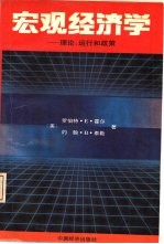 宏观经济学  理论，运行和政策