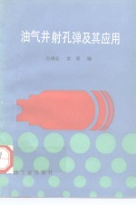 油气井射孔弹及其应用