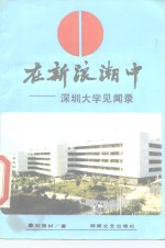 在新浪潮中  深圳大学见闻录