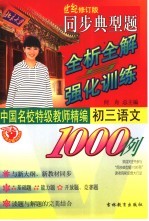 同步典型题全析全解与强化训练1000例  初三语文