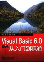 VISUAL BASIC 6.0中文版从入门到精通