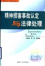 精神损害事故认定与法律处理