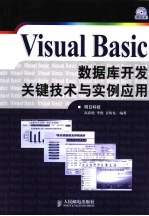 Visual Basic数据库开发关键技术与实例应用