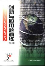 创新与应用题演练  初二代数