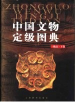 中国文物定级图典  一级品  下