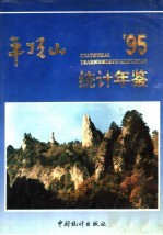 平顶山统计年鉴  1995