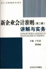 新企业会计准则讲解与实务  第2辑