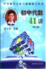 初中代数41讲：中学数学方法与解题能力培养