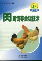 肉鸡饲养关键技术