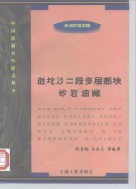 胜坨沙二段多层断块砂岩油藏