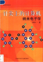 针尖上的计算机  纳米电子学