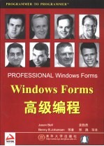 Windows Forms高级编程