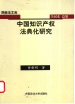 中国知识产权法典化研究