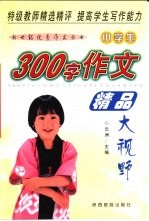 小学生300字作文精品大视野