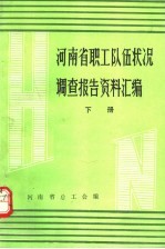 河南省职工队伍状况调查报告资料汇编  下