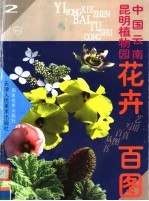 中国云南昆明植物园花卉百图  2