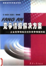 竞争情报解决方案：企业竞争情报系统和竞争情报技能