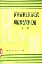 河南省职工队伍状况调查报告资料汇编  上