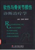 软伤与骨关节损伤诊断治疗学