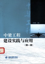 中梁工程建设实践与应用  第1辑