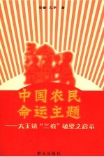 中国农民命运主题  大王镇“三农”破壁之启示