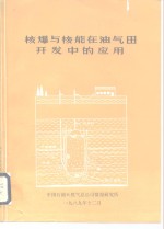 核爆与核能在油气田开发中的应用