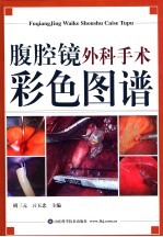 腹腔镜外科手术彩色图谱