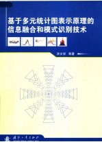 基于多元统计图表示原理的信息融合和模式识别技术