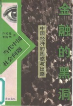 金融的黑洞  中国经济的困惑与出路