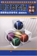 电子商务师国家职业资格考试培训教程  基础知识