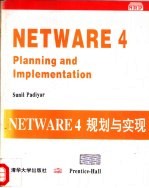 Netware 4：规划与实现