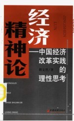 经济精神论  中国经济改革实践的理性思考